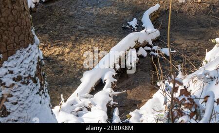 Tronco d'albero coperto di neve caduto nel torrente Foto Stock