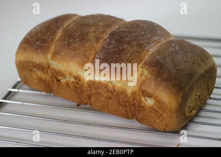 Pane di pane di panino di rotolo piccolo cotto in casa con le fasce rotte di rotoli visibili Foto Stock
