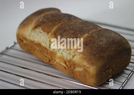 Pane di pane di panino di rotolo piccolo cotto in casa con le fasce rotte di rotoli visibili Foto Stock