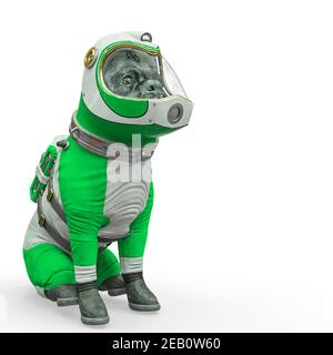 cane l'astronauta seduto con una copia spazio in sfondo bianco, illustrazione 3d Foto Stock