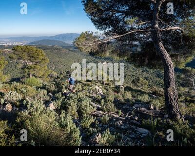 Escursioni nel Parco Nazionale della Sierra Espuna intorno a Morron de Alhama El Berro Murcia Spagna Foto Stock