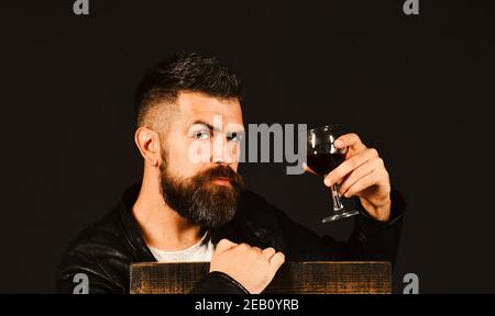 Il sommelier ha un gusto costoso. Concetto di degustazione e degustazione. Degustator con il viso serio si appoggia su sedia in legno. L'uomo con la barba tiene un bicchiere di vino su sfondo marrone scuro. Foto Stock