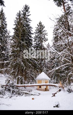 Secolare tronco di pino gigante coperto dalla neve caduta sul sentiero dopo una forte nevicata in un parco o in una foresta in inverno, verticale Foto Stock