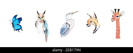 Set di illustrazioni ad acquerello disegnate a mano di animali diversi. Gufo, giraffa, lince, farfalla ed airone isolati su sfondo bianco. Foto Stock