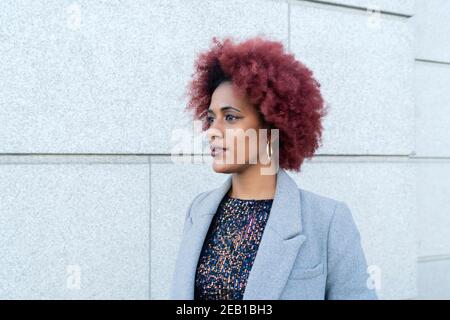 ritratto di bella donna con capelli afro Foto Stock