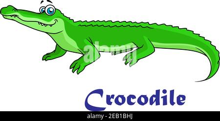 Colorato carattere verde cartoon coccodrillo con testo coccodrillo sotto Illustrazione Vettoriale