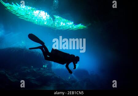 Immersione nel El Eden denote vicino Playa del Carmen sulla Riviera Maya nello Yucatan, Messico. Foto Stock