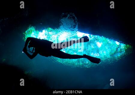 Immersione nel El Eden denote vicino Playa del Carmen sulla Riviera Maya nello Yucatan, Messico. Foto Stock