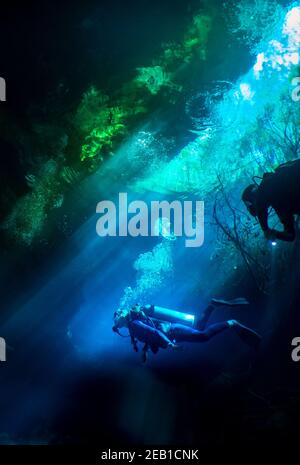 Immersione nel El Eden denote vicino Playa del Carmen sulla Riviera Maya nello Yucatan, Messico. Foto Stock