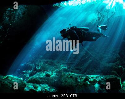 Immersione nel El Eden denote vicino Playa del Carmen sulla Riviera Maya nello Yucatan, Messico. Foto Stock