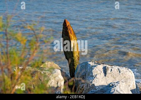 Groyne di legno lavato su armatura di roccia a causa della costa erosione Foto Stock