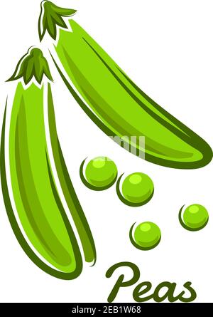 Verdure fresche di piselli verdi con cialde aperte e fagioli rotondi In stile cartoon con testo Peas per il design vegetariano concetto Illustrazione Vettoriale