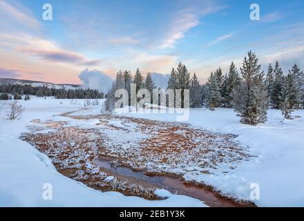 Parco Nazionale di Yellowstone, Wyoming: Piscina termale nel bacino superiore del Geyser all'alba Foto Stock