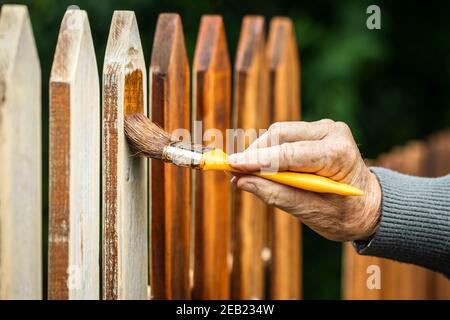 Pittura recinzione di legno da macchia di legno. Pennello in mano maschio. Riparazione vecchio picket recinto in cortile Foto Stock