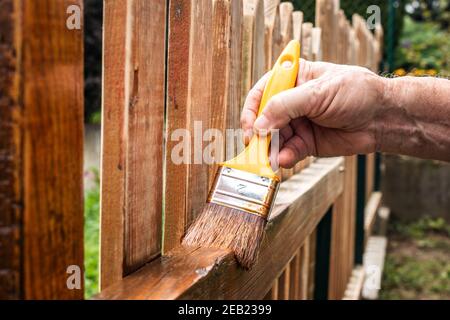 Pittura recinzione di legno a cortile. Pennello in mano maschio. Ristrutturazione di recinzione in legno. Foto Stock