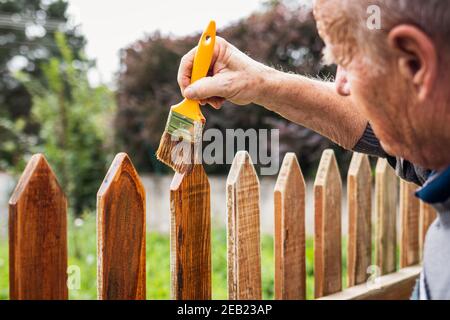 Pittura picket recinto di legno da macchia di legno. Uomo anziano attivo che ripara la vecchia recinzione nel cortile Foto Stock