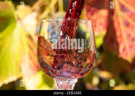 Un vino rosso che si versa nel bicchiere sullo sfondo del vigneto. Un vino rosso che si sprigola in una verricello. Foto Stock