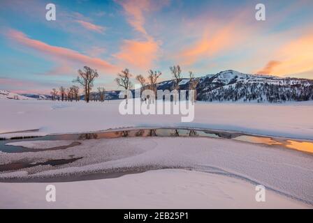 Parco nazionale di Yellowstone, Wyoming: Nuvole colorate e boschi di cotoni riflessi nel fiume Lamar al tramonto nella valle di Lamar con Amethyst Peak in t Foto Stock