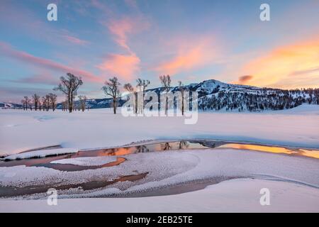 Parco nazionale di Yellowstone, Wyoming: Nuvole colorate e boschi di cotoni riflessi nel fiume Lamar al tramonto nella valle di Lamar con Amethyst Peak in t Foto Stock