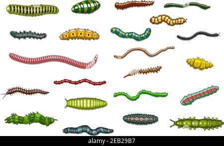 Colorati bruchi e vermi striscianti in stile cartoon con strisce, macchie e peli urticanti per il design biologico o ecologico Illustrazione Vettoriale