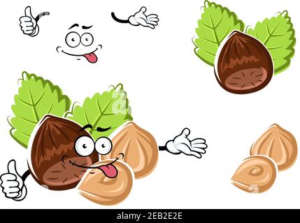 Carattere di nocciola cartoon con noci intere e pelate su foglie verdi isolate su bianco. Per la progettazione di snack o dolciumi Illustrazione Vettoriale