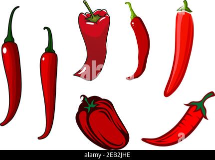 Peperoncino rosso caldo, cayenne e peperoni dolci verdure con gambi curvi verdi, per la cucina orientale o sano disegno di cibo vegetariano Illustrazione Vettoriale