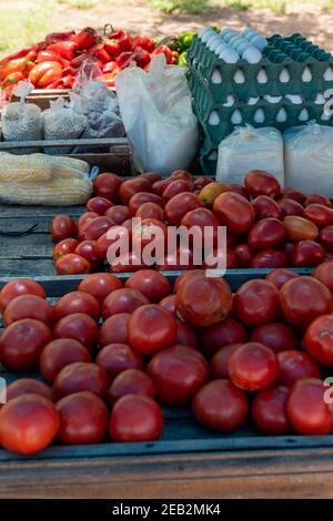 uova, mais, pomodori, manioca, manioca, farina, macinato Foto Stock