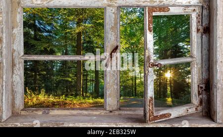 salone rustico con vista dalla finestra Foto Stock