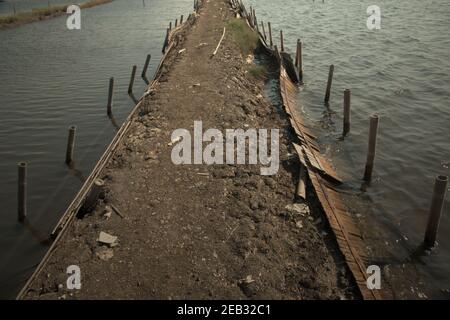 L'argine di zone di pesca di acque salmastre situato tra la foresta di mangrovie di Kapuk Angke e il villaggio di Kamal Muara nella zona costiera di Giacarta, Indonesia. Foto Stock