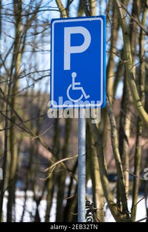 Cartello blu sul posto in metallo "solo parcheggio per disabili" nei Paesi Bassi. Alberi sullo sfondo Foto Stock