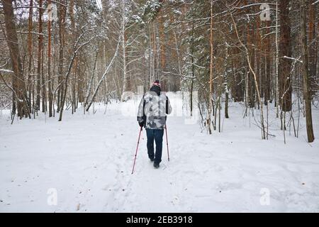 L'uomo entra per gli sport invernali - nordic walking, passeggiate con bastoni attraverso una foresta innevata. Persone attive in natura. Foto Stock