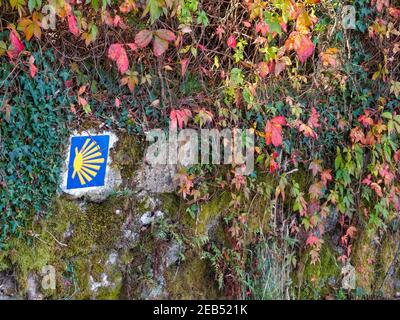 Camino e colorate foglie d'autunno su un muro di pietra - Trasmonte, Galicias, Spagna Foto Stock