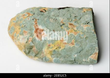 Pane con muffa verde isolato su sfondo grigio Foto Stock