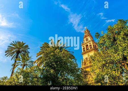 Nei giardini Mezquita, la moschea cattedrale di Cordova, Andalusia, Spagna Foto Stock