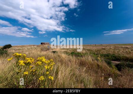 Old, WWII pill Box sul Royal cinque Ports Golf Club, Deal, Kent Foto Stock