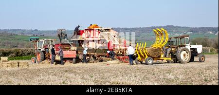 Trebbiatura del grano nella fattoria di Somerset Foto Stock