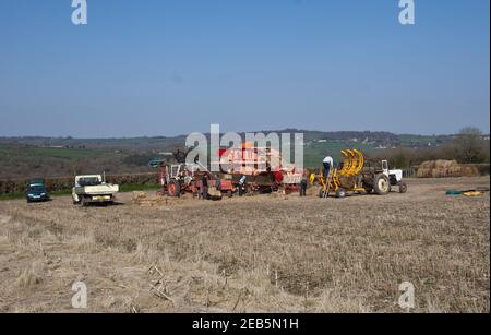 Trebbiatura del grano nella fattoria di Somerset Foto Stock