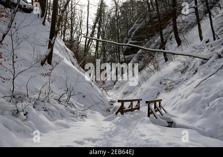 Ladscape Wintery alla gola Drachenschlucht Eisenach Foto Stock