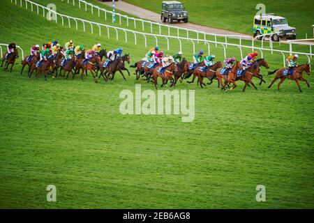 Corse di cavalli all'ippodromo di Cheltenham, Inghilterra Foto Stock