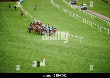 Corse di cavalli all'ippodromo di Cheltenham, Inghilterra Foto Stock