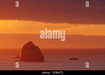 Offshore Stack tra Brookings e Gold Beachat Sunset Oregon Coast, USA LA000855 Foto Stock