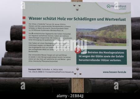 BAD WILDUNGEN, HESSEN, GERMANIA - OKTOBER 30, 2018: Attività di cantiere in legno. Legno accatastato all'esterno. Concetto di ambiente di industria forestale. Tronchi di albero abbattuto Foto Stock