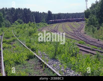 fienatura ferroviaria con erba. locomotiva di shunting e accoppiamento di vagoni merci su diversi binari di intersezione di binari della stazione ferroviaria di merci Foto Stock