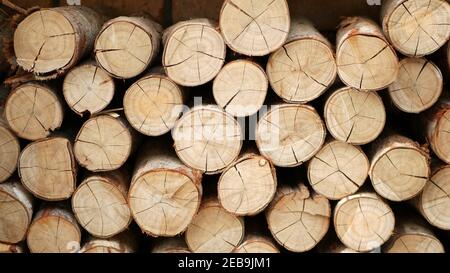 Tronchi di legno posti accanto muro di mattoni. Legna da ardere secca pronta per l'uso su sfondo di muro di mattoni rossi. Foto Stock