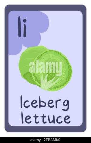 ABC alimentare educazione flash card, lettera i - iceberg lattuga. Modello di disegno di cartoni animati con carta di istruzione alfabeto colorato. Illustrazione Vettoriale