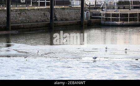 Londra, Regno Unito. 12 febbraio 2021 in slack water il Tamigi congela a Teddington Lock, Londra ovest, mentre le temperature rimangono intorno al congelamento. Andrew Fosker / Alamy Live News Foto Stock