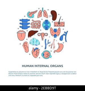 Banner organi interni umani con posto per il testo. Poster medico con simboli anatomici in stile linea. Illustrazione vettoriale. Illustrazione Vettoriale