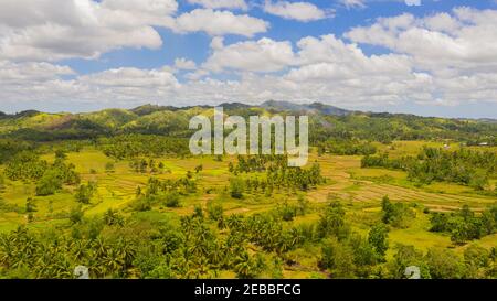 Pendii di montagna e colline con vegetazione tropicale sotto un cielo blu con le nuvole. Bohol, Filippine. Foto Stock