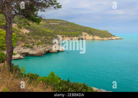 Costa del Gargano: Spiaggia di campi Bay vicino a Vieste in Puglia (Italia). E' una pittoresca baia del Gargano incorniciata da ulivi e pinete. Foto Stock