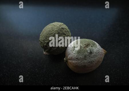 primo piano vista della consistenza dei limoni in verde e. stampo bianco su sfondo nero Foto Stock